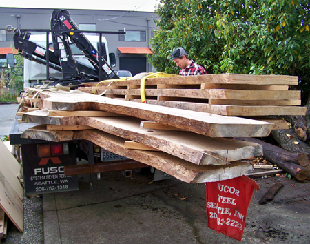 elm log 02 | Chadhaus