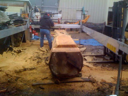 elm log 02 | Chadhaus